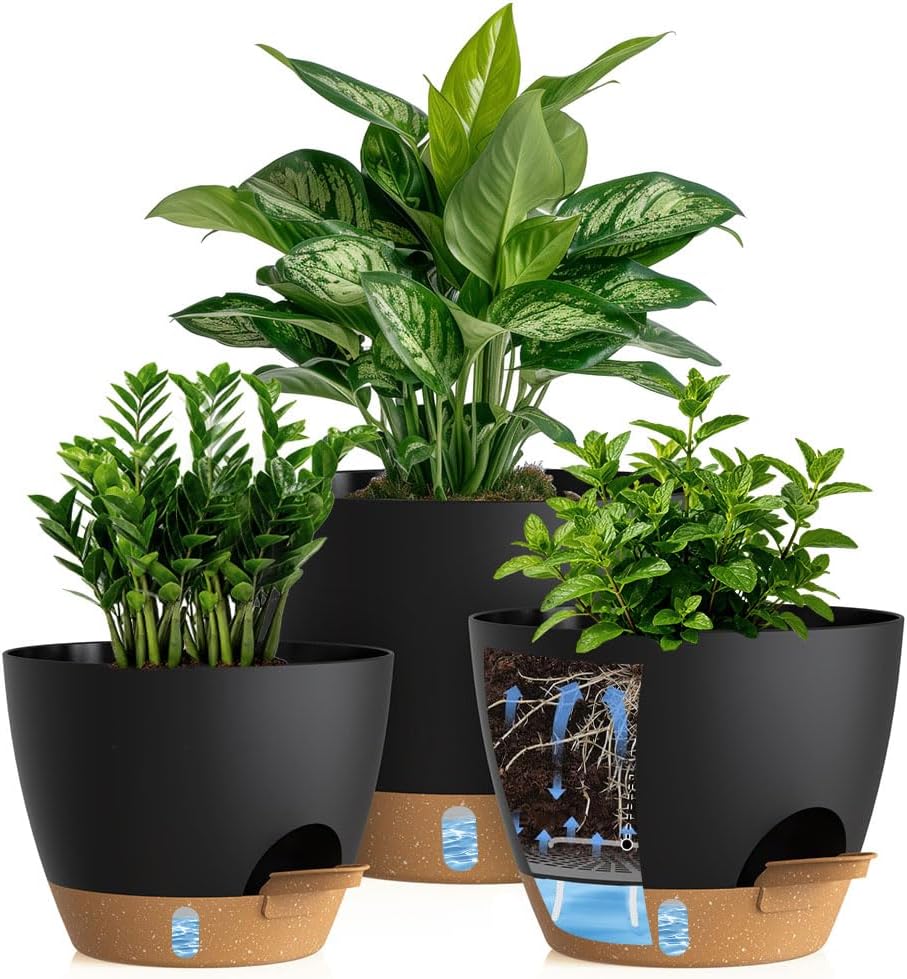 KUGAZ Self-Watering Pots, 3-Pack